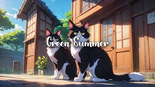 Green Summer🍃 Lofi Cat Music  #lofi #chillmusic