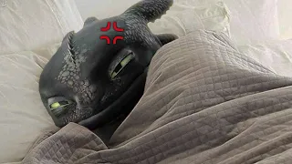 Toothless has NOISY Neighbours