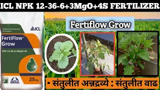 ICL NPK 12-36-6+3MgO+4S FERTILIZER | icl fertilizer | icl Fertiflow grow