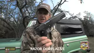 Razor Dobbs 10mm auto handgun show and tell whitetail hunt