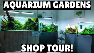 Aquarium Gardens Shop Tour! - Amazing Aquascape Showroom!