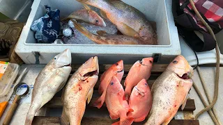 Fishing The Vernon Islands Darwin, NT