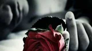 Te Regalo Una Rosa   ( Juan Luis Guerra )
