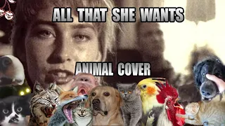 Ace Of Base - All That She Wants (Animal Cover)