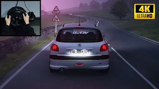 Peugeot 206 GTI (116HP) | Assetto Corsa | Thrustmaster T300RS Gameplay