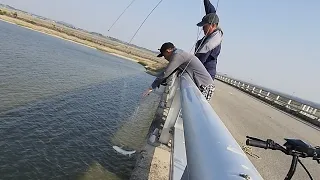 Рыбалка на паук подъёмник.  Весь паук порвался от рыб. #낚시  #fishing