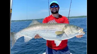 Spring Run Fishing for Huge Striped Bass