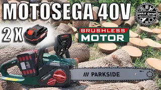 Motosega Ricaricabile 40V Brushless 2x20V PARKSIDE PKSA 40-Li A1