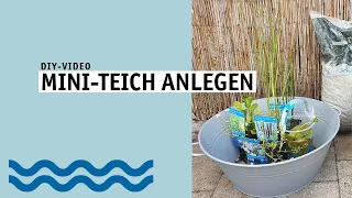 MINI TEICH für deinen Balkon oder Terrasse anlegen