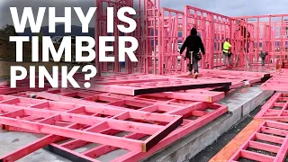 Why is New Zealand Timber Pink???