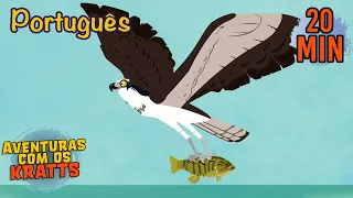 A águia-pescadora | Temporada 3 [episódio completo] Aventuras com os Kratts