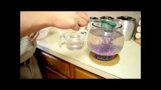 How To Clean A Fishbowl