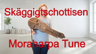 Skäggigtschottisen - Moraharpa Lesson