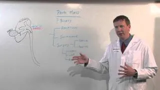 Treatments for Kidney Tumors - Kenneth Nepple, MD