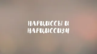 Нарциссы и нарциссизм