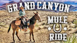 Grand Canyon Mule Ride to Phantom Ranch with Mule Wrangler 'TEX!'