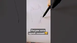 На кого похож? 🐱😂