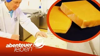 Cheddar Käse im Trend: Was macht ihn so besonders? | Abenteuer Leben | Kabel Eins