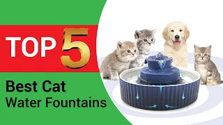 Top 5 Best Cat Water Fountains in 2024 [Tested & Reviewed]