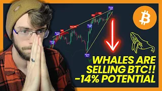 Whales SELLING BITCOIN?! (-14% POTENTIAL) | BTC Price Prediction