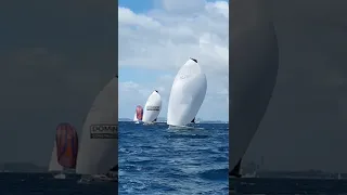 Sailing under Asymmetric Spinnaker