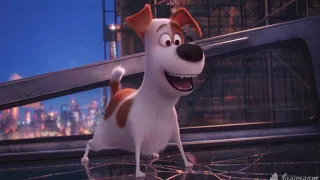 The Secret Life of Pets (2016) Truck in  the Water Scene Movie clips.