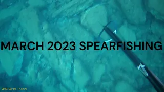 March 2023 - Cold Water Spearfishing