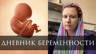 Нам подняли аренду. Что с жильём в Праге.