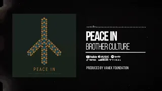 Brother Culture & Vanek Foundation - Peace In (Official Audio)