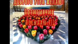 Доброго утра 🌞 Просто хорошего дня🌷🌷🌷❤️