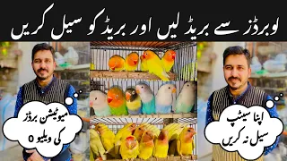 Imran birds shop || ramdan offers || college road Rawalpindi #rawalpindibirdsmarket #viralvideos
