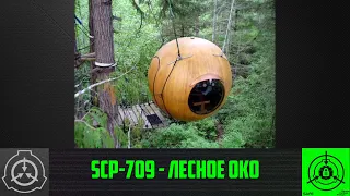 SCP-709 - Лесное Око     【СТАРАЯ ОЗВУЧКА】