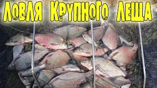 ЛОВЛЯ КРУПНОГО ЛЕЩА.  Лучшая моя фидерная рыбалка!