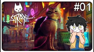 SONO DIVENTATO UN GATTO IN UN MONDO POST-APOCALITTICO PIENO DI ROBOT E MOSTRI???? | Stray - ep.01