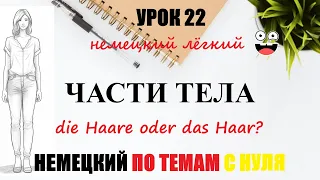 УРОК 22. ЗАПОМИНАЕМ ЧАСТИ ТЕЛА С АРТИКЛЯМИ / Когда следует использовать das Haar, die Haare