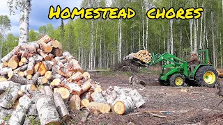 Homestead Chores on our 160 acres/ Life in Alaska