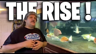 The UNDENIABLE RISE of The Ohio Fish Rescue!