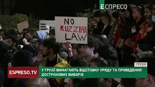 Протести у Грузії: опозиція вимагає відставки уряду і дострокових виборів