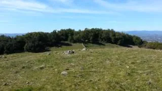 Top of Mt Taylor