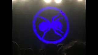 Smack My Bitch Up - The Prodigy live from Ally Pally Nov 14th