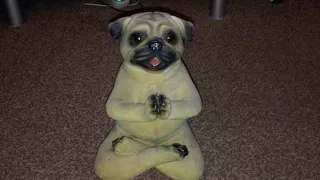 Statue of a pug