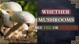 Whether The Mushrooms Are Veg Or Non-Veg  | Science Behind Mushrooms