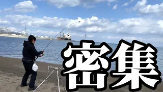 【北海道】【釣り】水中映像にカレイ軍団が押し寄せる‼️