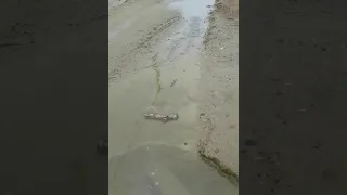 Порыв водопровода размывает дорогу в Охе