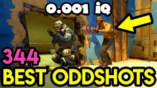 0.001 IQ SNEAKY PLAYER *WTF*- CS:GO BEST ODDSHOTS #344