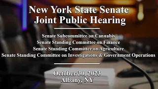 New York State Senate Joint Public Hearing - 10/30/2023
