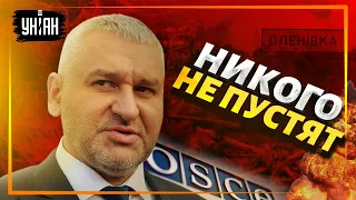 Фейгин: Россия не пустит международные организации в Еленовку