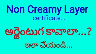 how to apply for OBC non Creamy Layer certificate directly at revenue office | grama sachivalayam