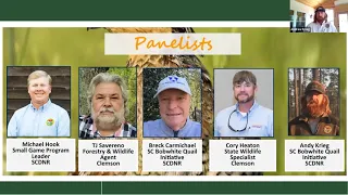 Bobwhite Quail Panel with South Carolina Quail Experts