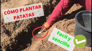 El Huerto del Abuelo - Capitulo 22: Como plantar patatas